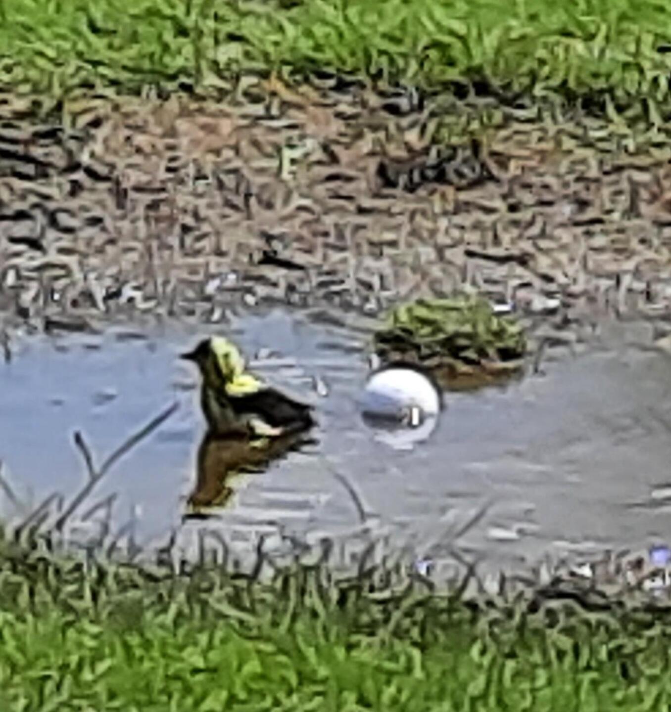 (Photo submitted by u9769800 on 08/02/2021)