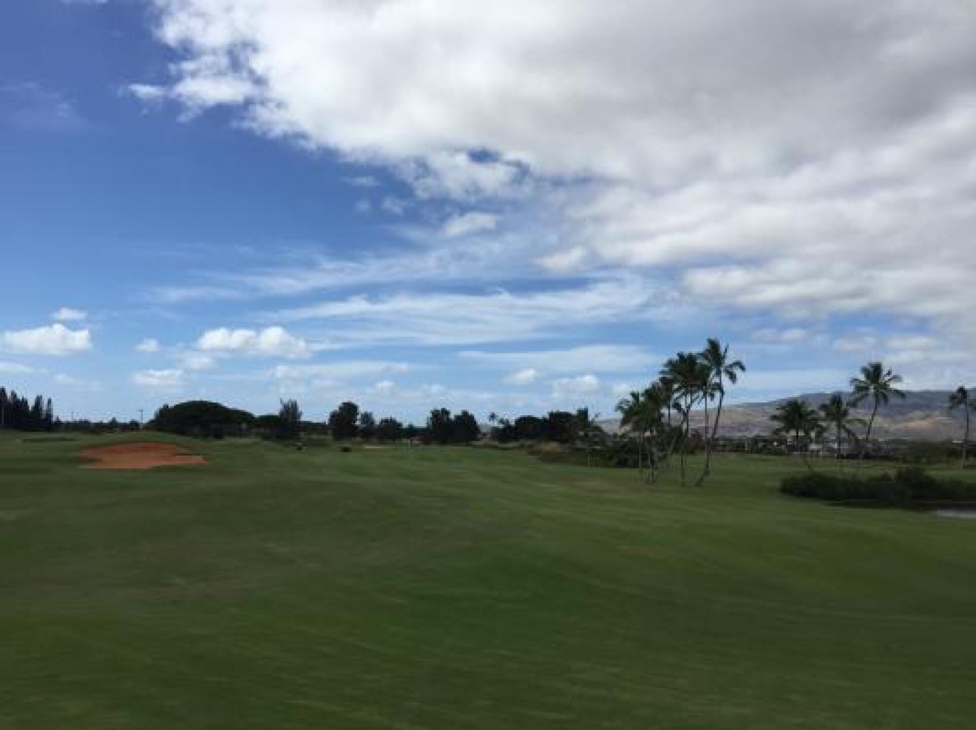 (Photo submitted by Rrimsinth on 01/02/2015)