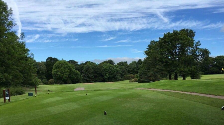 Bedlingtonshire GC: #14