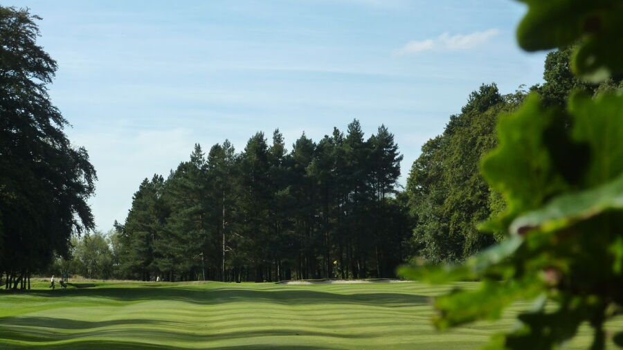 Arcot Hall GC: #8