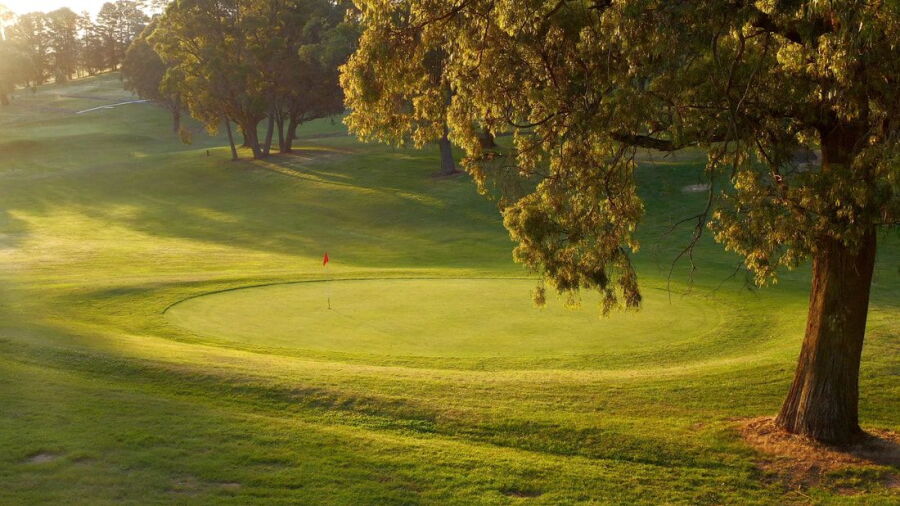 Oberon GC: #16