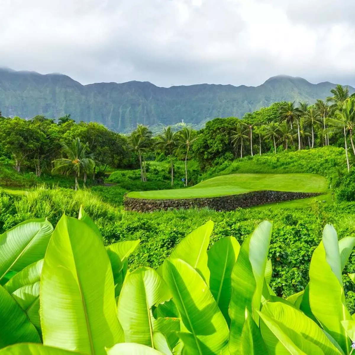 white christmas dresses Royal Hawaiian Golf Club main image 0