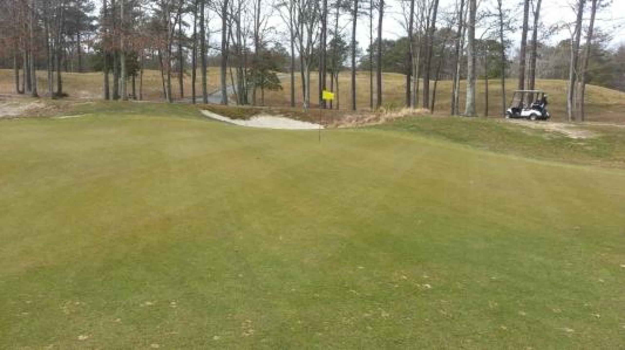 the greens are in good shape. (Photo submitted by golfnut593 on 03/12/2013)