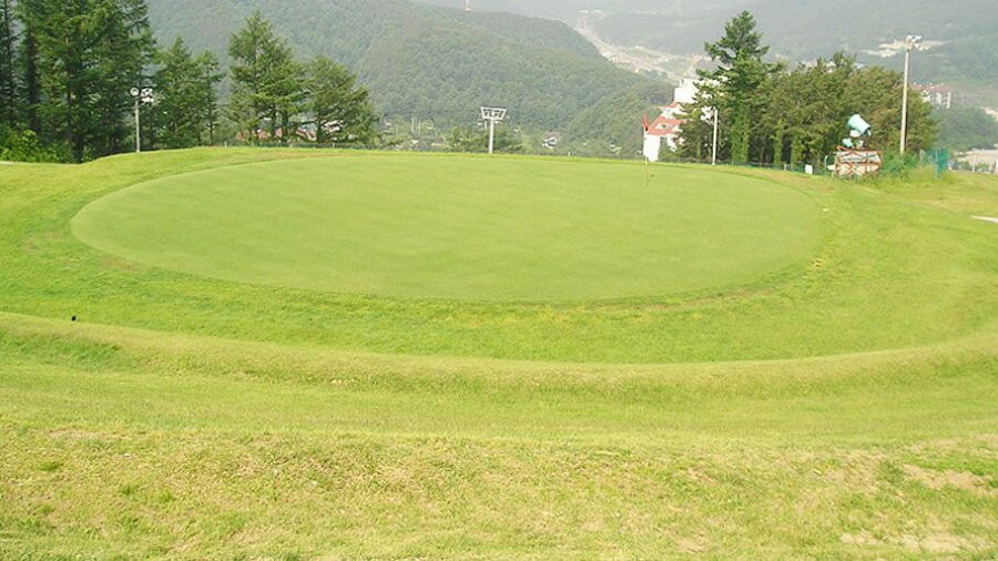 Bears Town Resort - Bears: #3