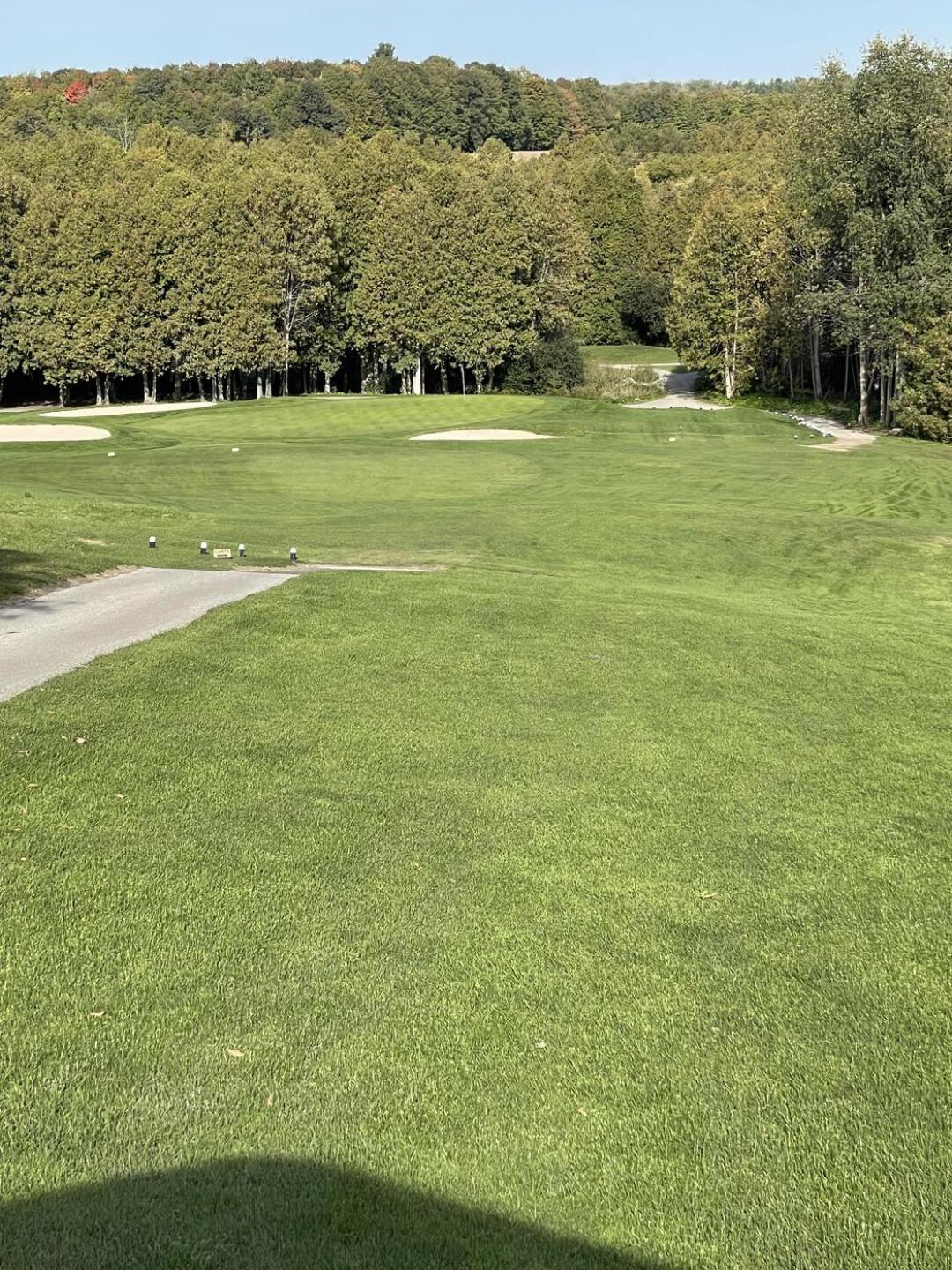 (Photo submitted by u314160040055 on 10/02/2021)