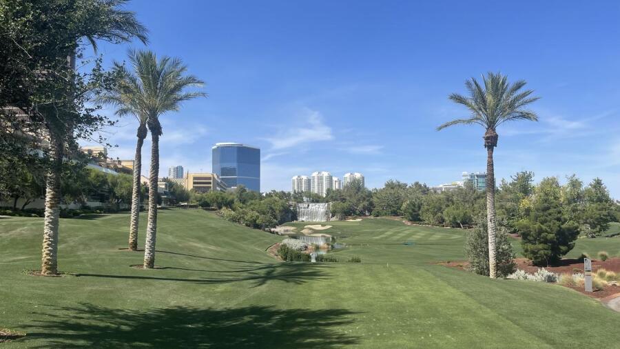 Wynn Golf Club - palms