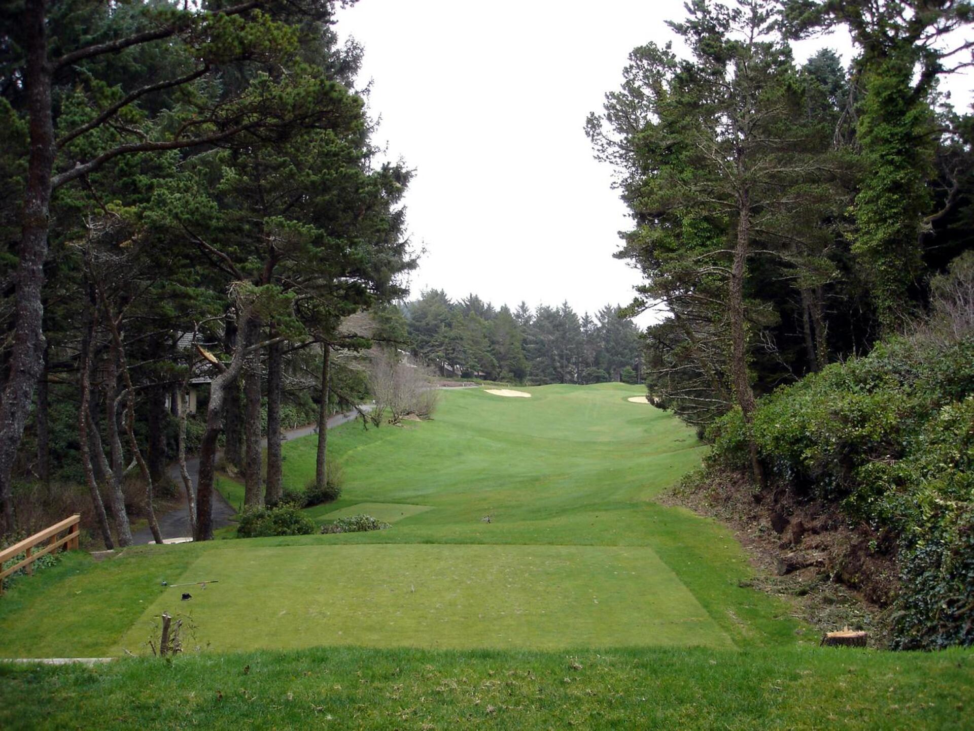 Salishan Spa & Golf Resort, Hole 17, Par 4, 297 yds (Photo submitted by DYakimec on 06/09/2018)