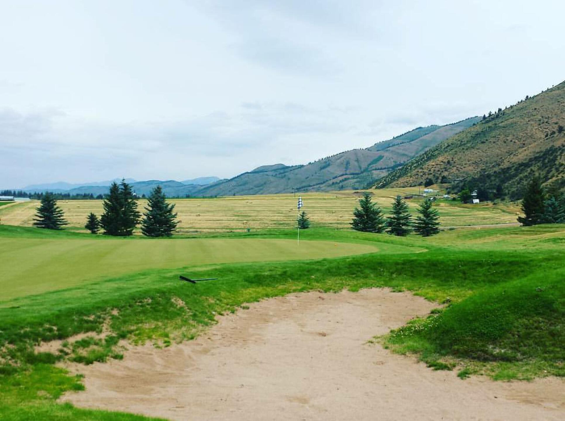 (Photo submitted by TroyShenanigans on 08/14/2017)