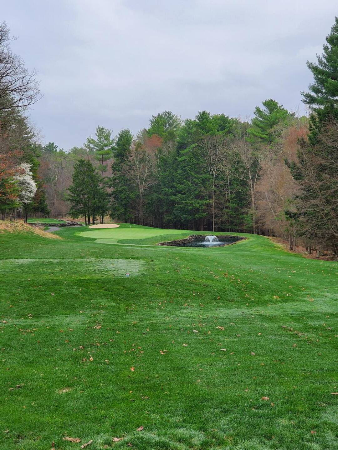 (Photo submitted by dtownchris77 on 04/15/2021)