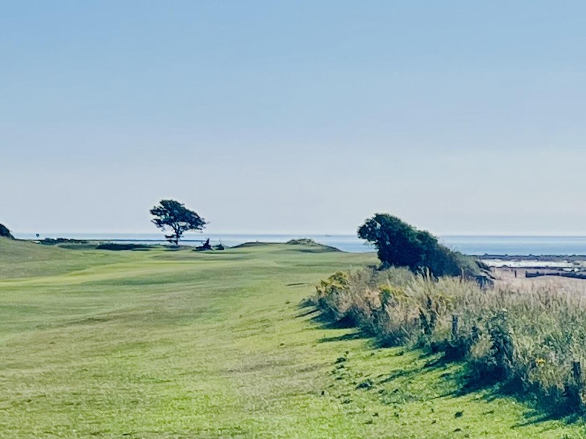 (Photo submitted by tomigun31 on 07/13/2025)