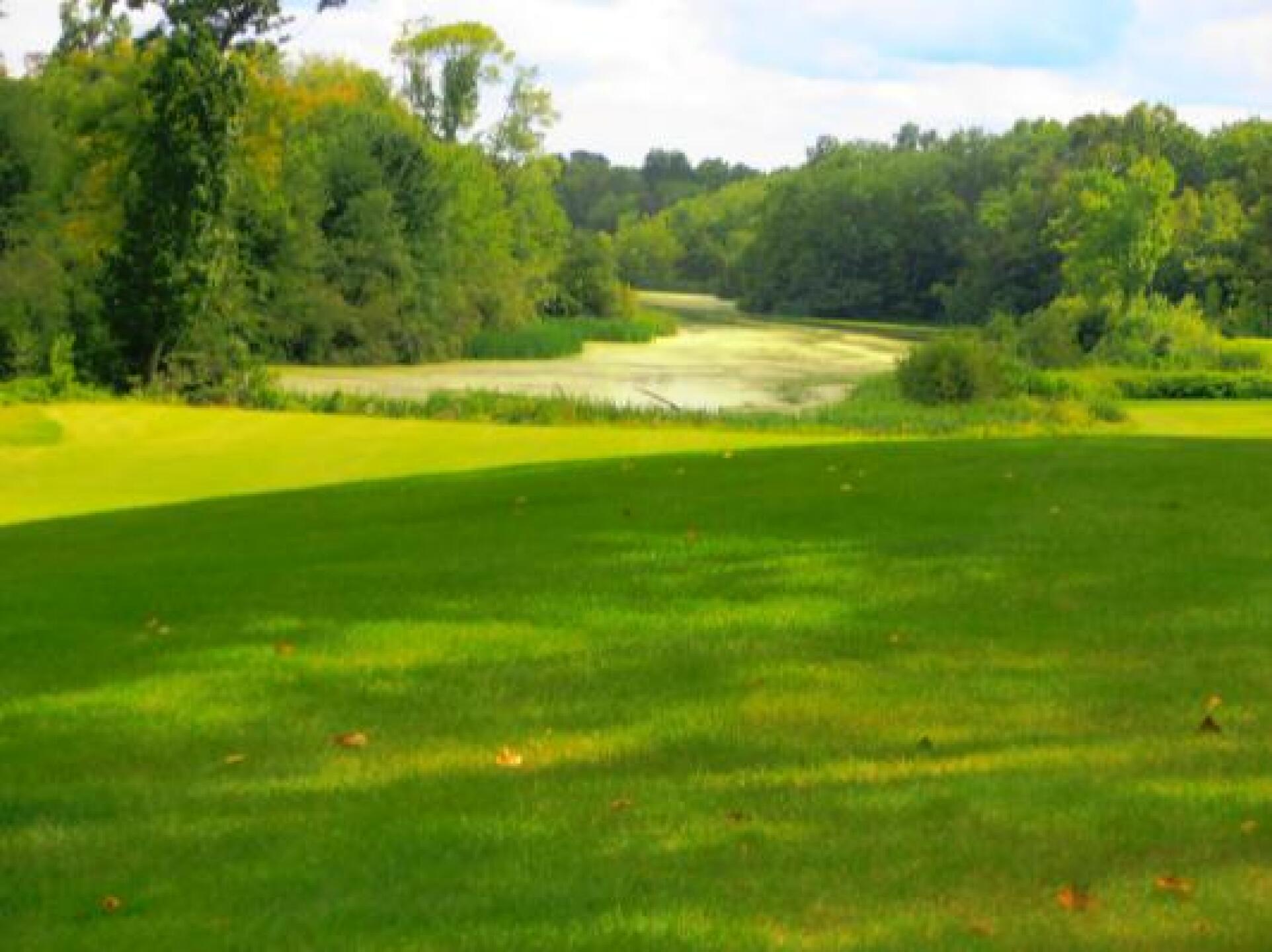 (Photo submitted by kobeguy2 on 11/22/2012)