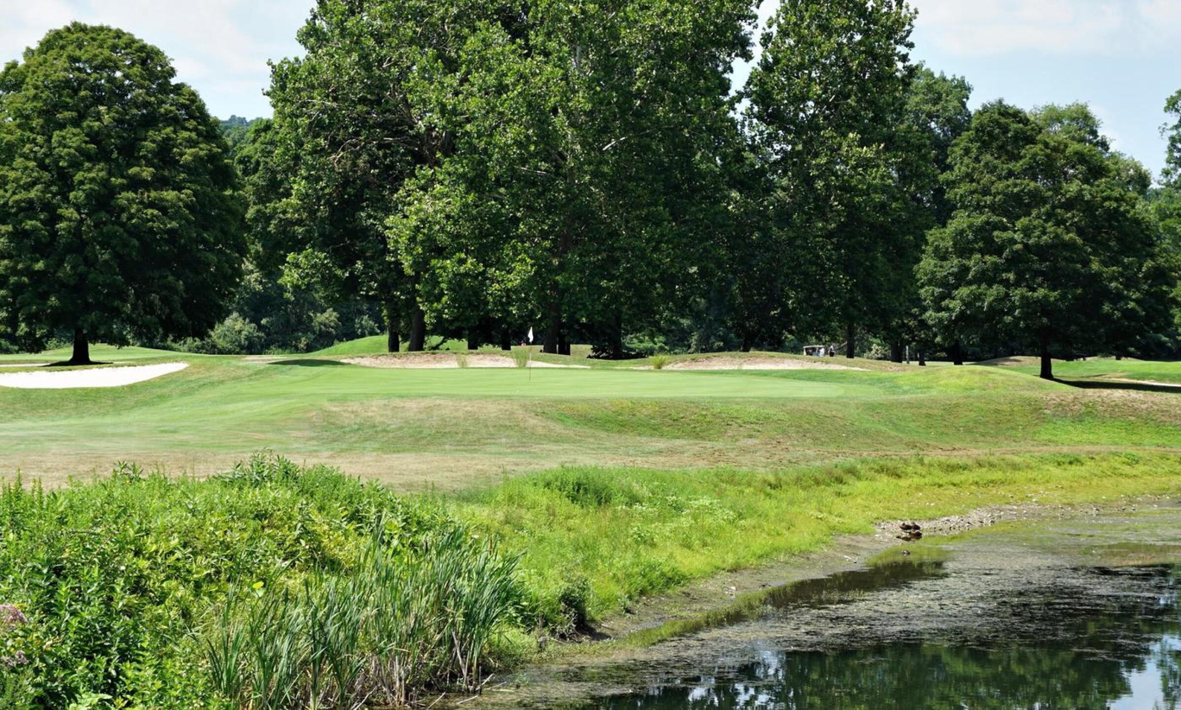 Hole eight is one of two long and classic three-pars here. Ducks are lounging to the right. (Photo submitted by AptlyLinked on 08/11/2020)