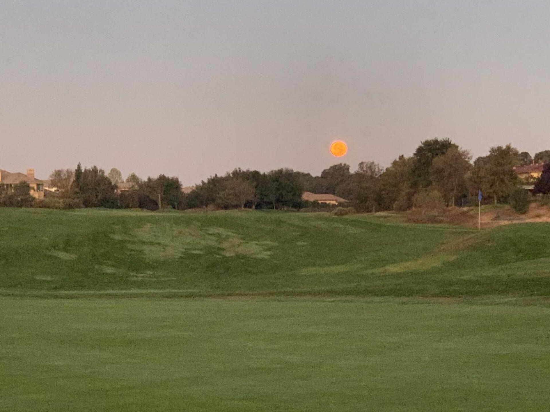 (Photo submitted by u00000641784 on 10/31/2020)