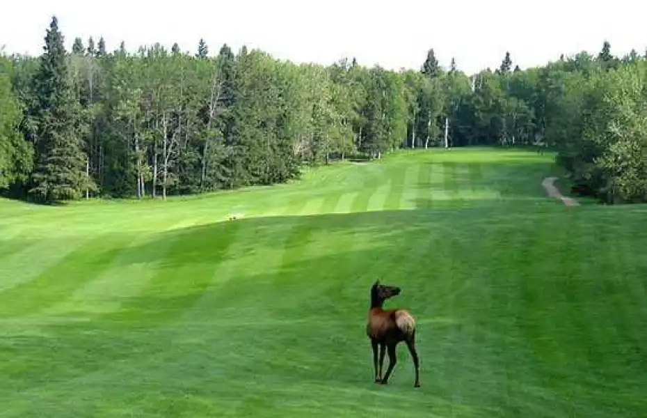 Waskesiu GC