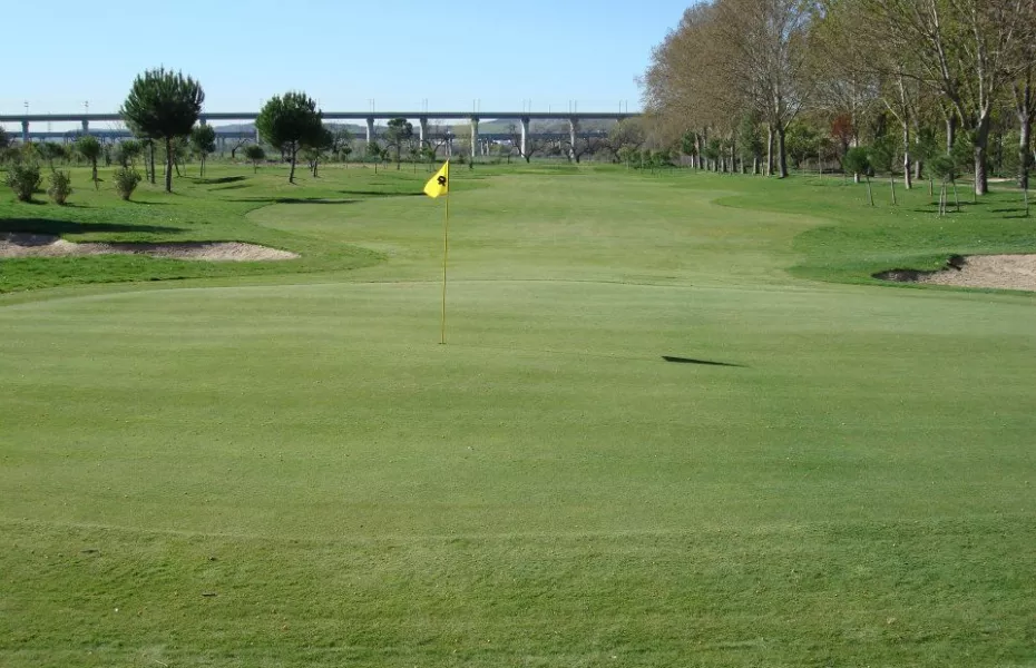 Palacio Del Negralejo - Largo: #4