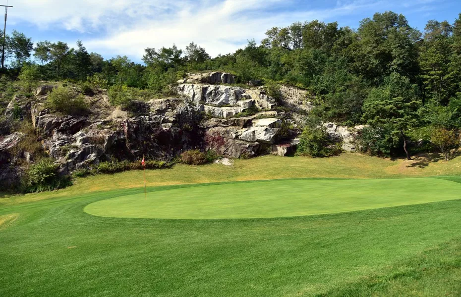 Hildesheim CC - Tiger: #2