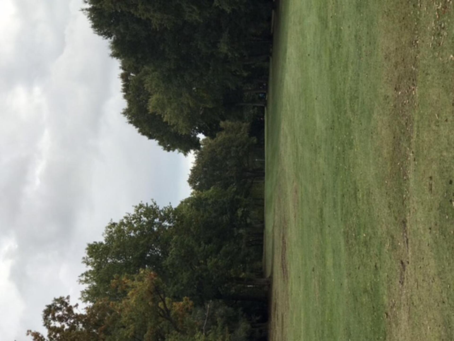 (Photo submitted by u8304161 on 10/17/2020)