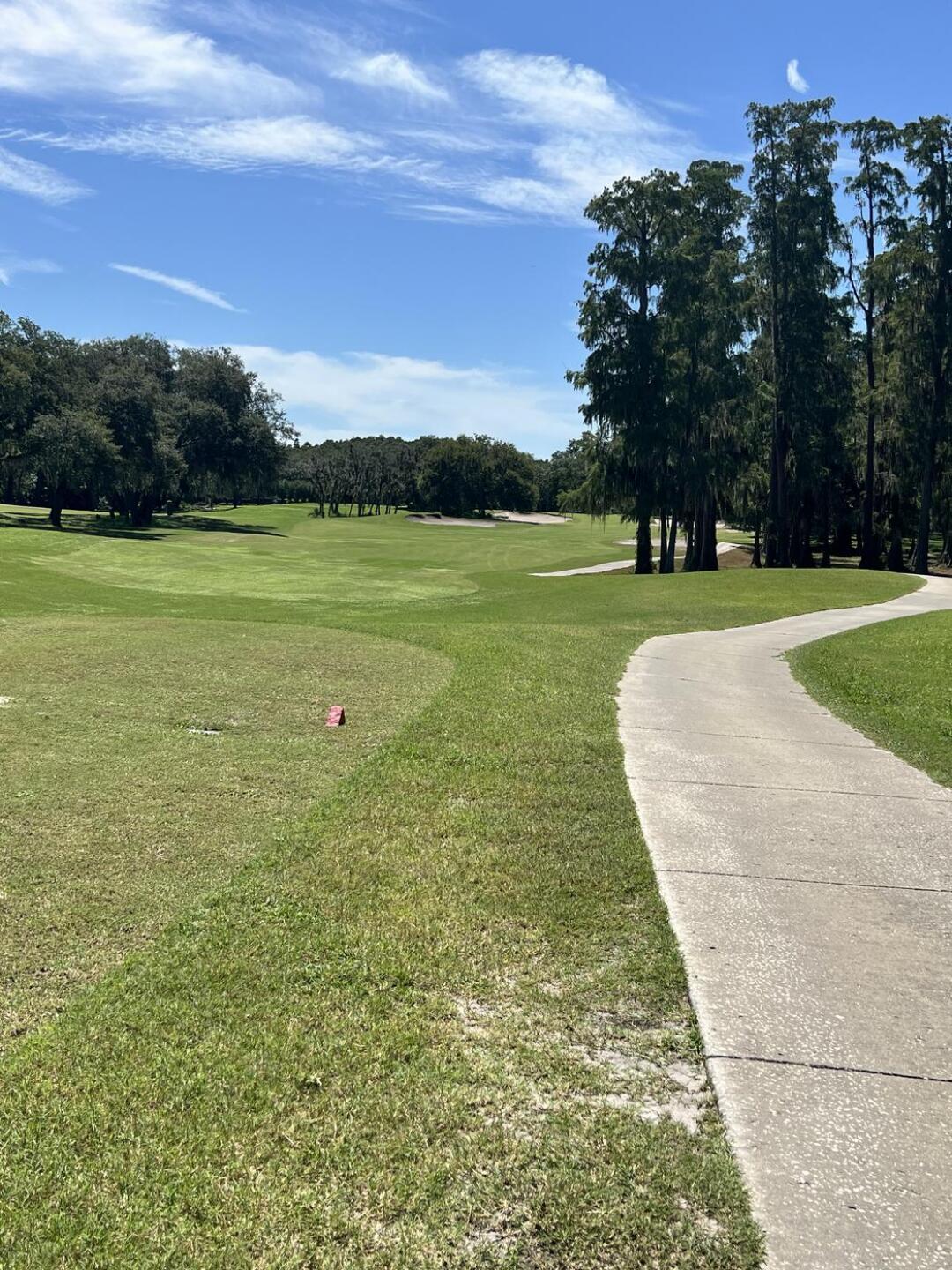 (Photo submitted by jenmann65 on 08/24/2024)