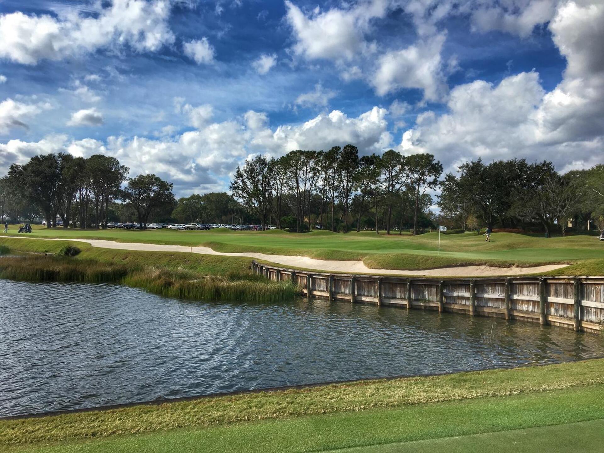 (Photo submitted by JEKelley on 01/05/2018)