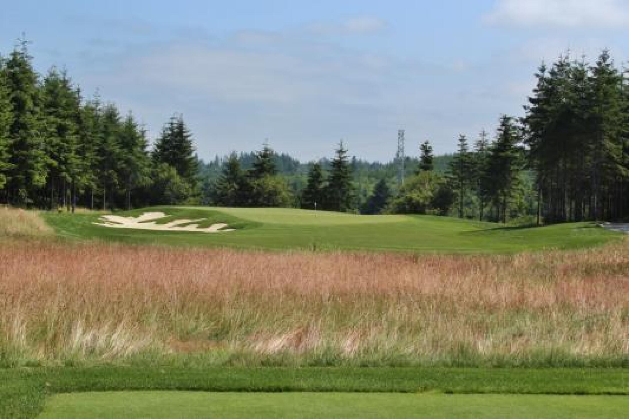 There are no homes to clutter the views at Salish Cliffs. (Photo submitted by JasonDeeganGA on 02/24/2014)