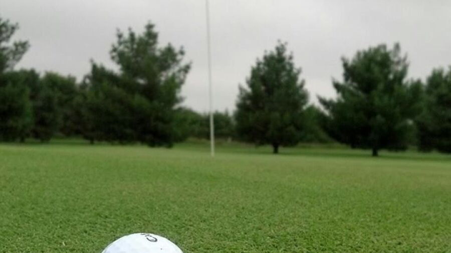 Meadow Greens GC