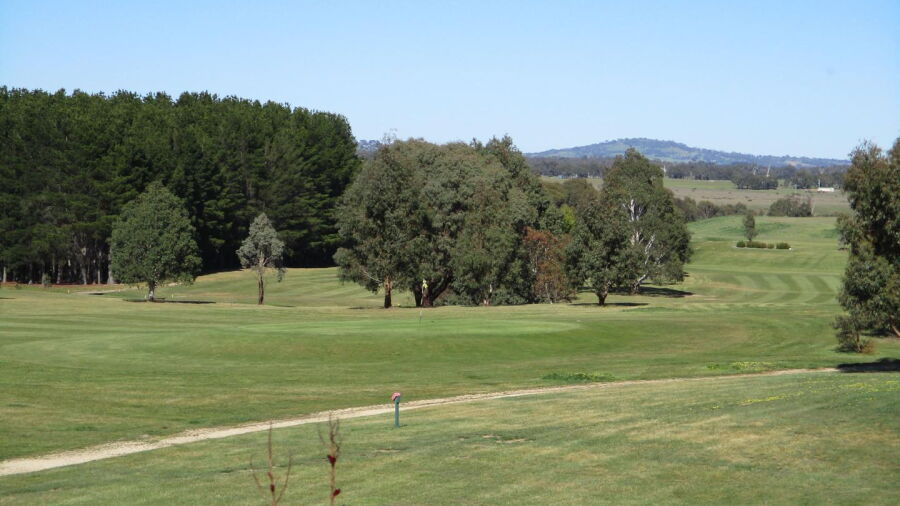 Lancefield GC: #9, #17