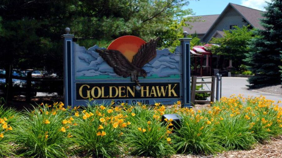 Golden Hawk GC