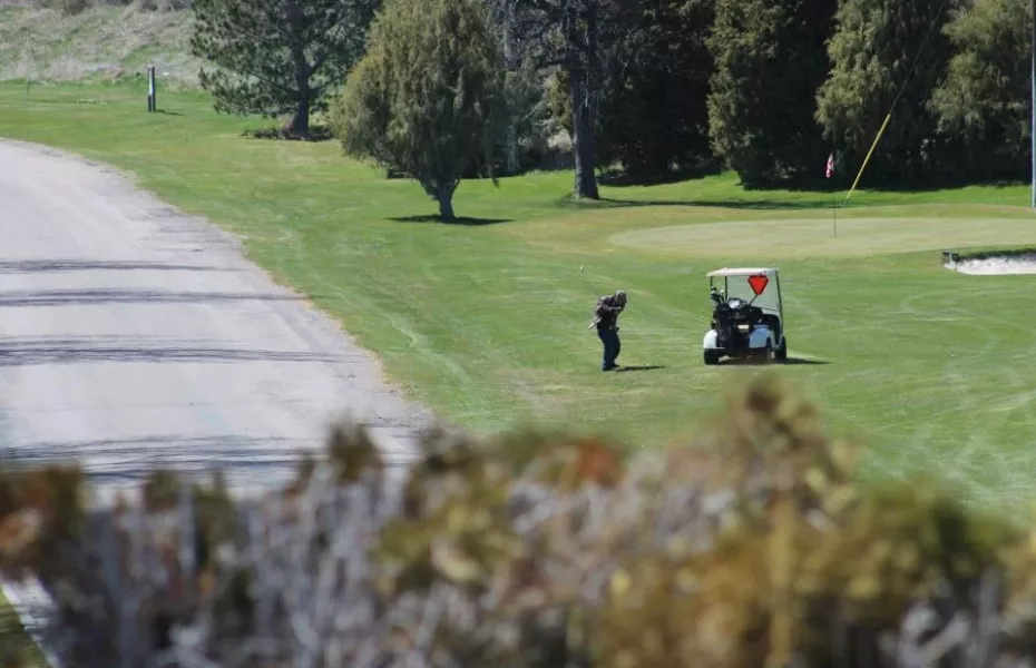 American Falls GC: #8