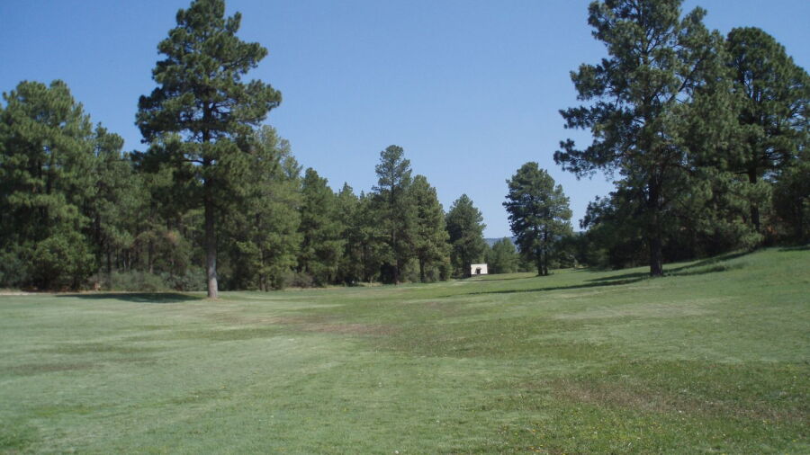 Timberon GCC: #6