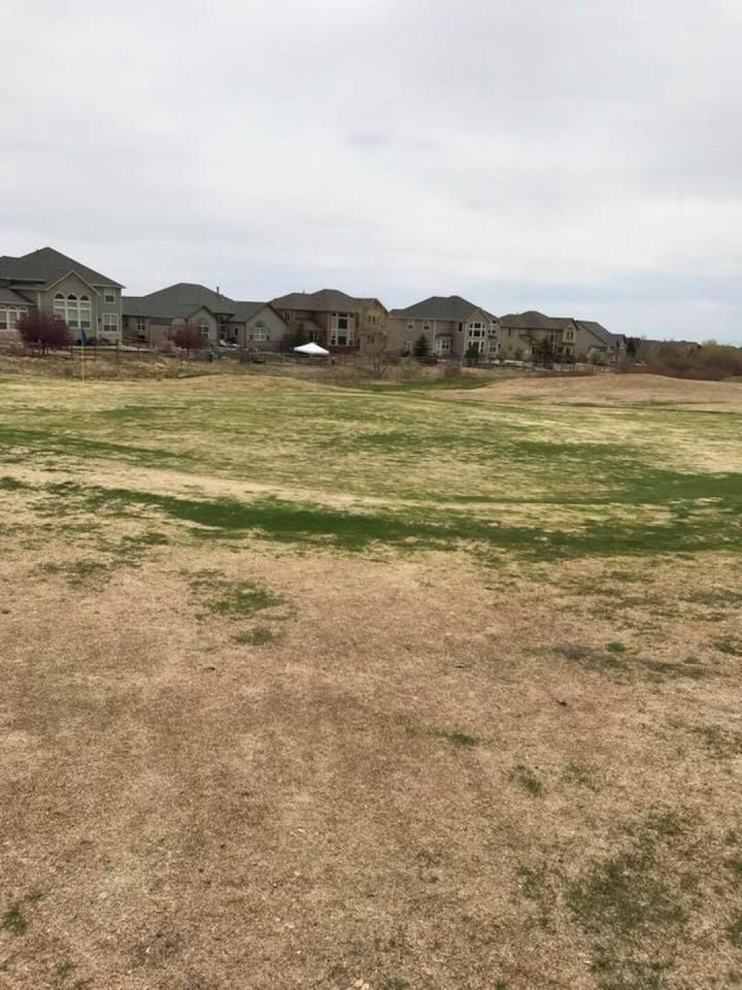 Green (Photo submitted by ScottHallas on 05/07/2018)