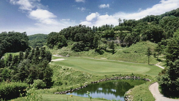 Cove Swing GC