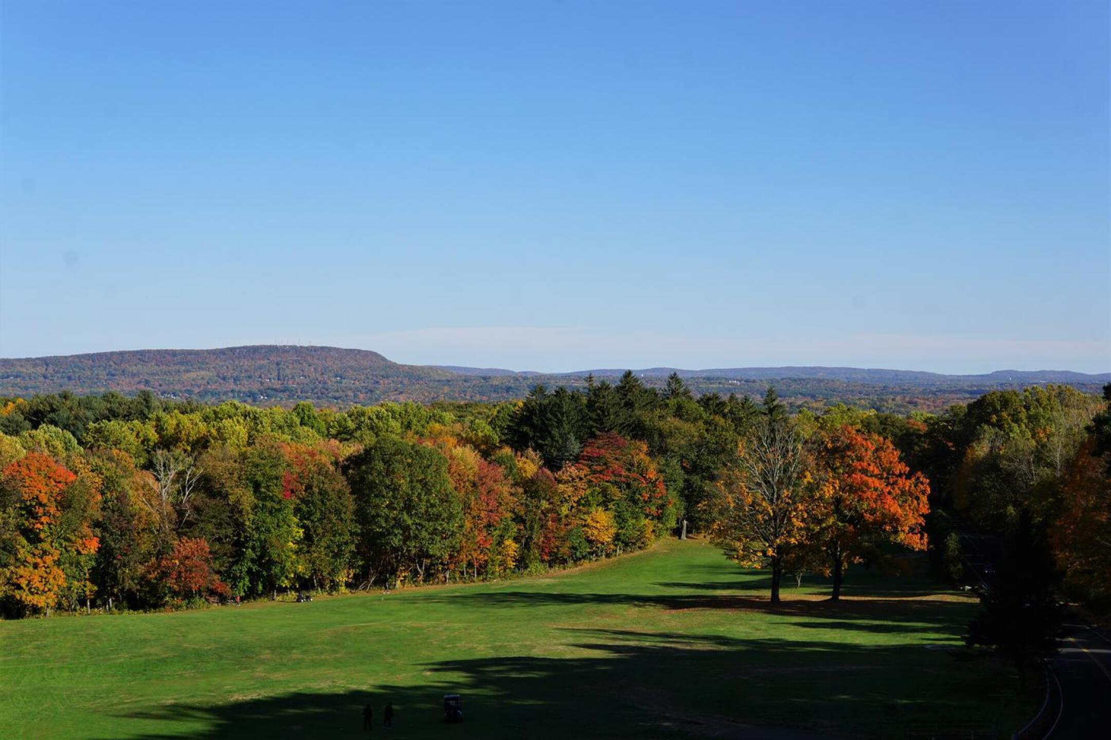 The fourth. (Photo submitted by AptlyLinked on 10/21/2022)