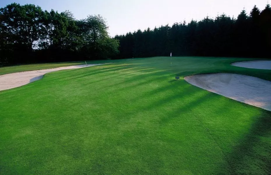 Wiesensee GC – Championship