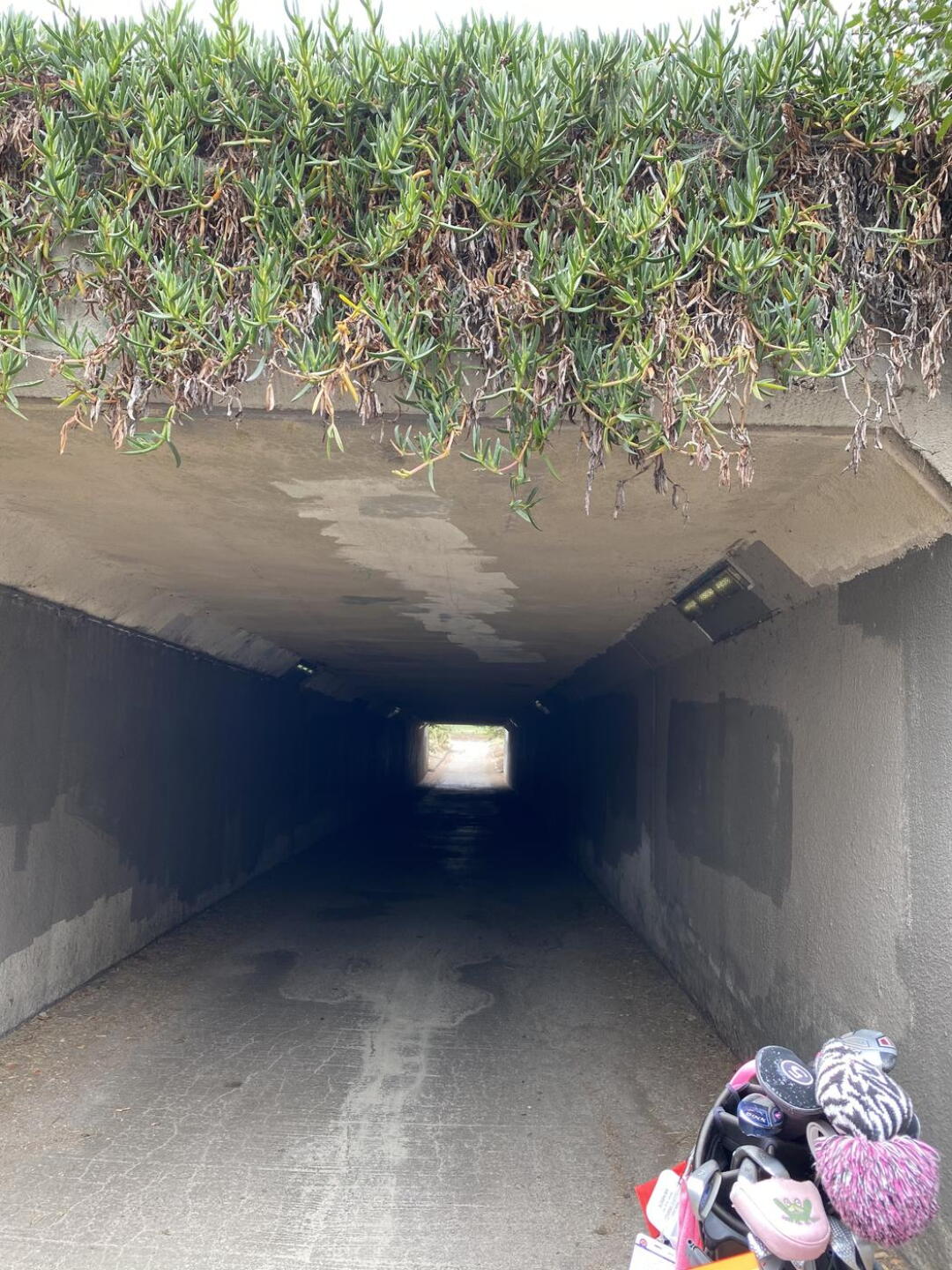 The intimidating tunnel…if you’re a petite female golfing alone. (Photo submitted by WeGolf18 on 07/24/2021)