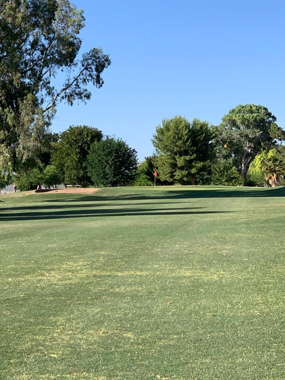 (Photo submitted by Bark100 on 06/06/2019)