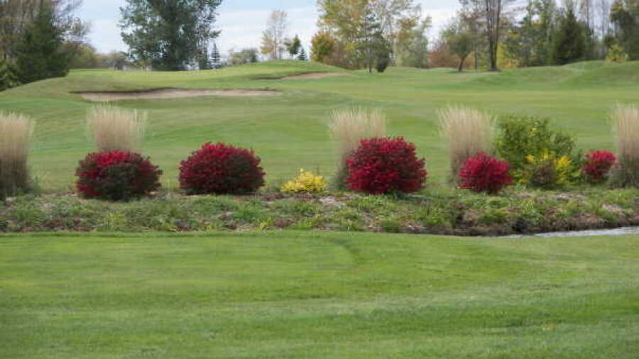 Bird Creek GC: #5
