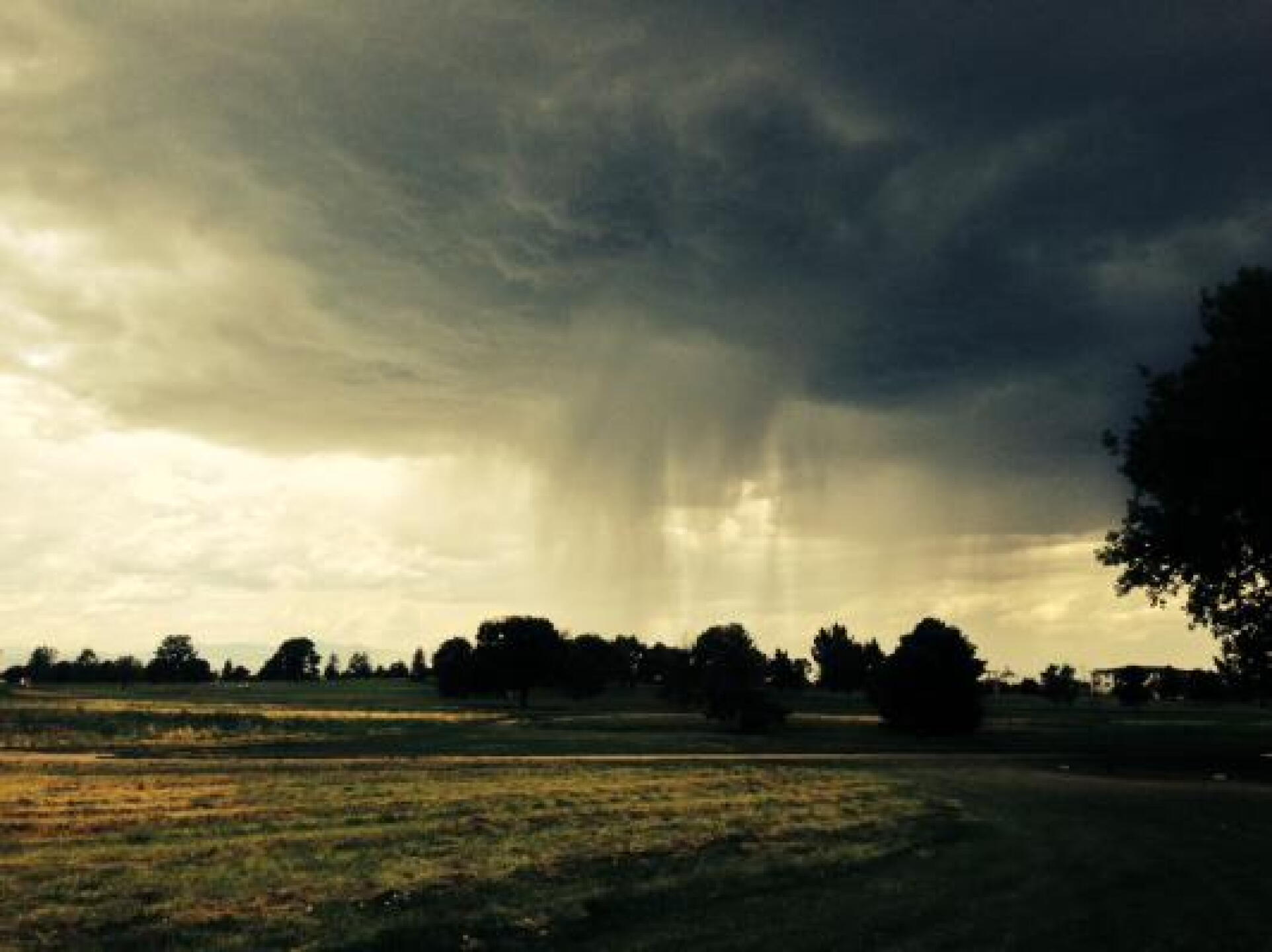 (Photo submitted by comountaingolf on 07/05/2014)