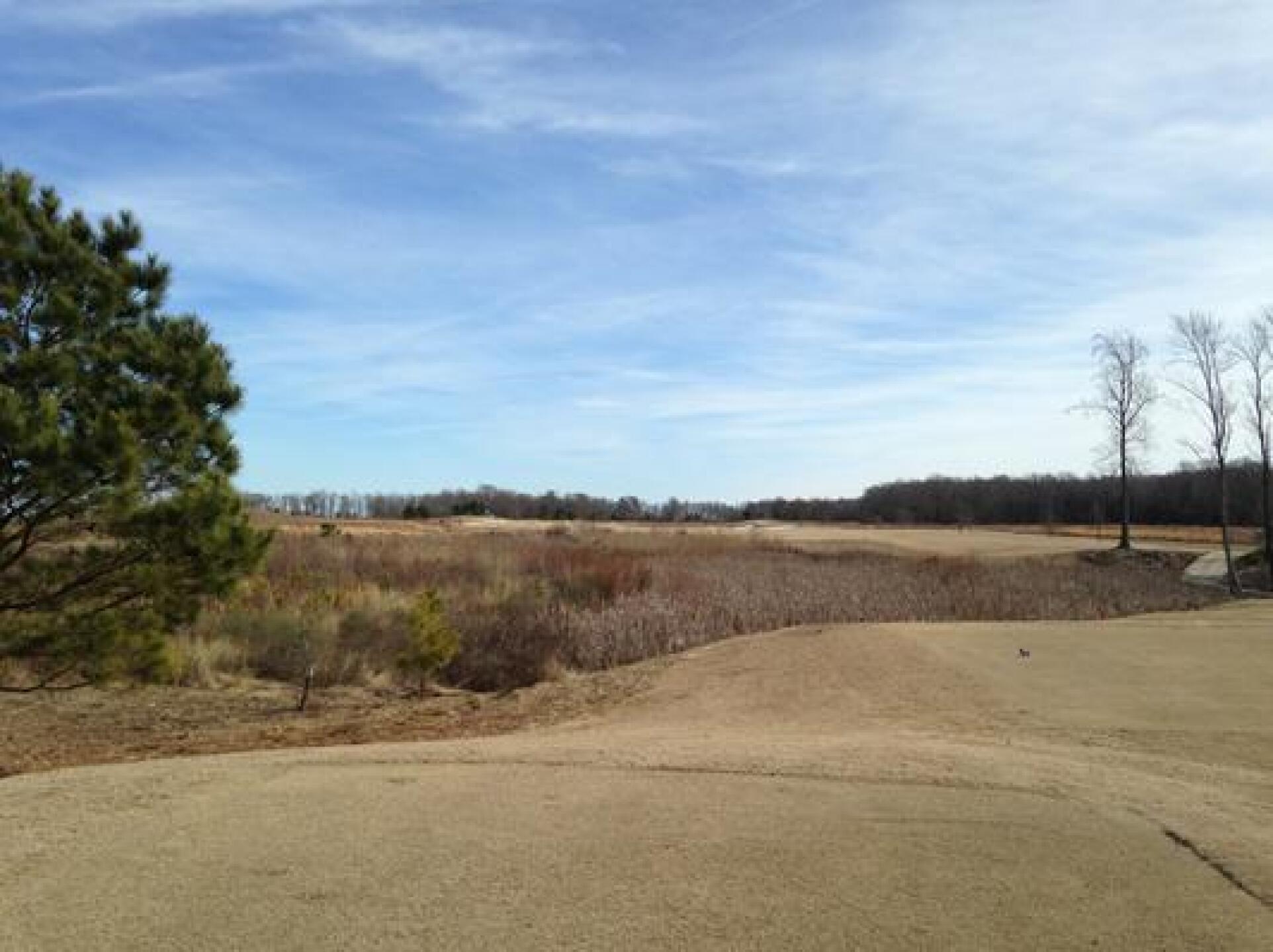 Number 5, 612 yards from the tips. Par 5. What a hole.... (Photo submitted by JustaGOONER on 02/06/2015)