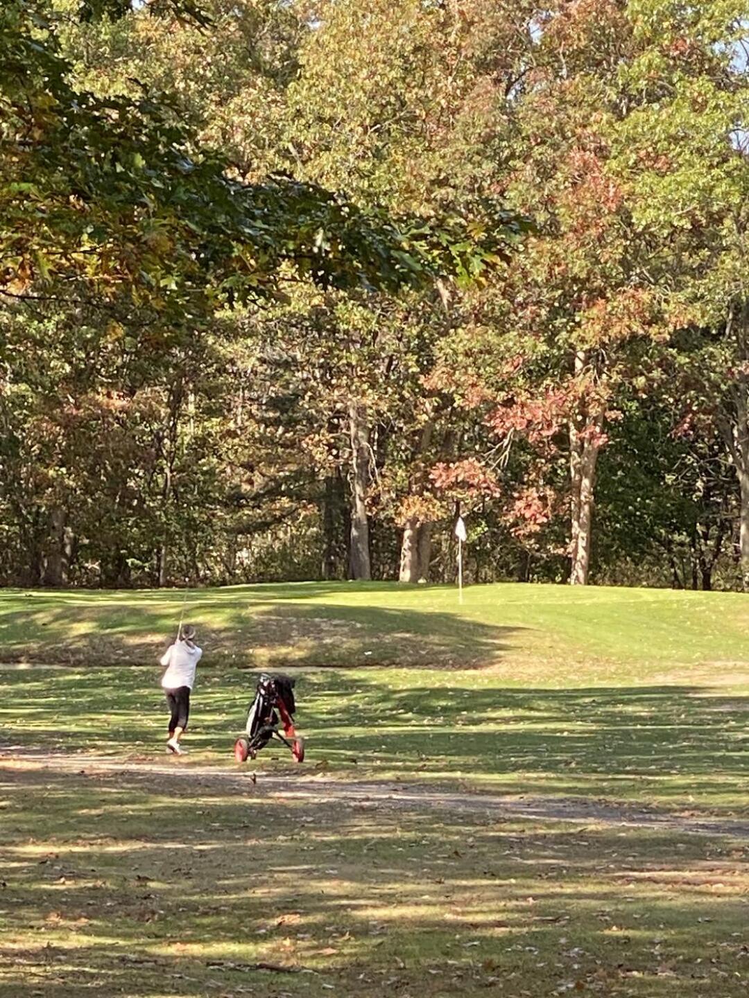 (Photo submitted by zro1ioviDW7Vqx4qLU2N on 10/17/2020)