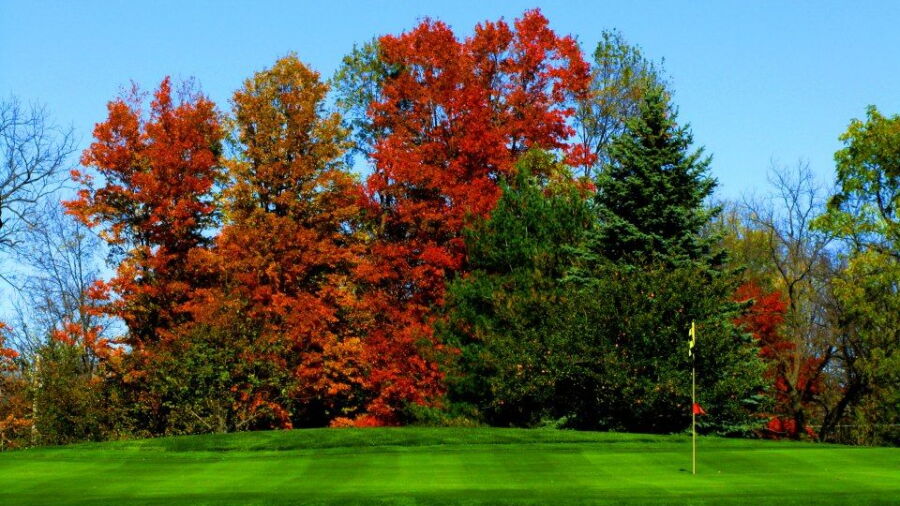 Centennial Acres - Sunrise: #9