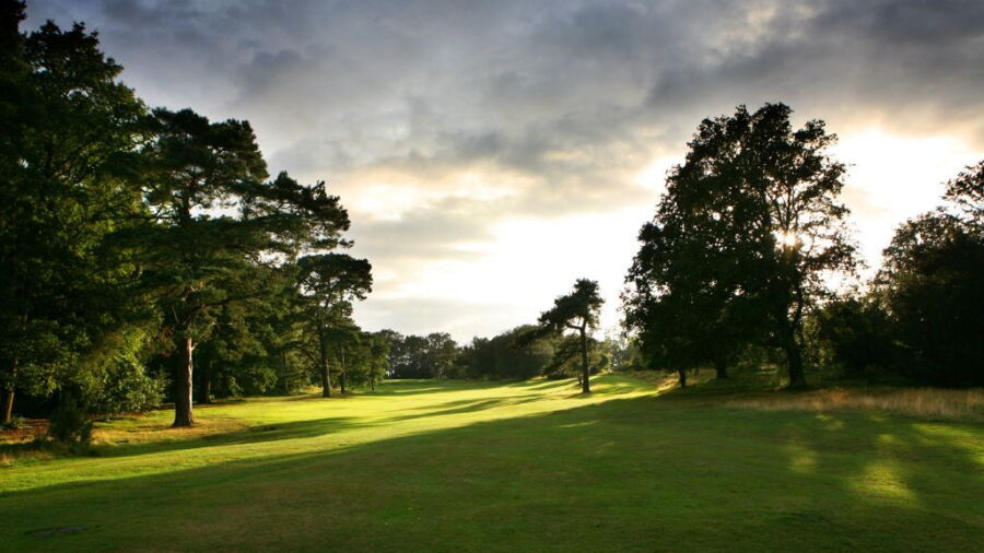 #8 at Reigate Heath Golf Club