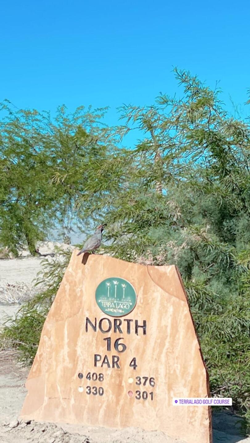 (Photo submitted by Bigpunch8 on 05/19/2023)