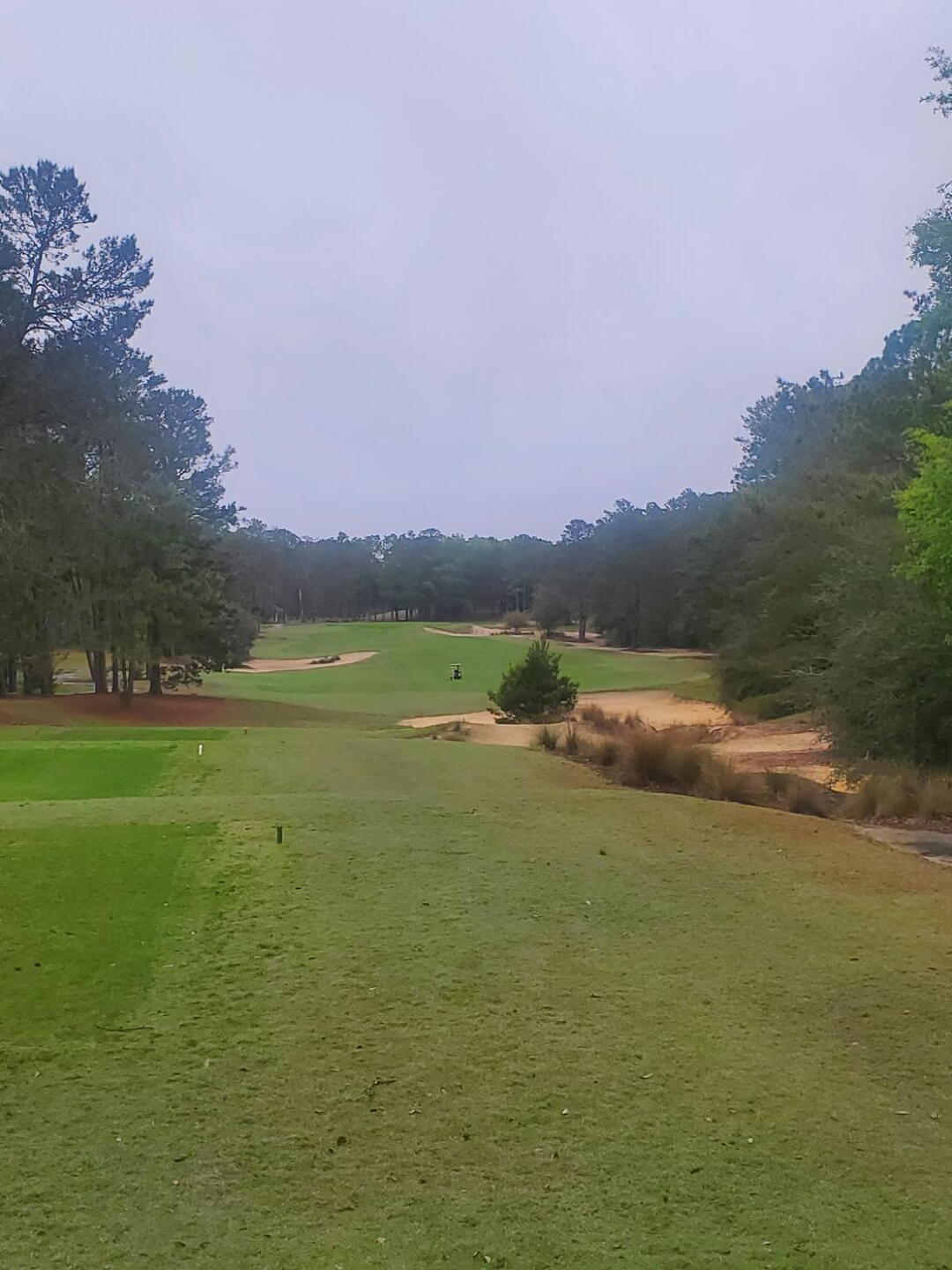 Par 4 1st hole (Photo submitted by dahlryan on 04/01/2021)