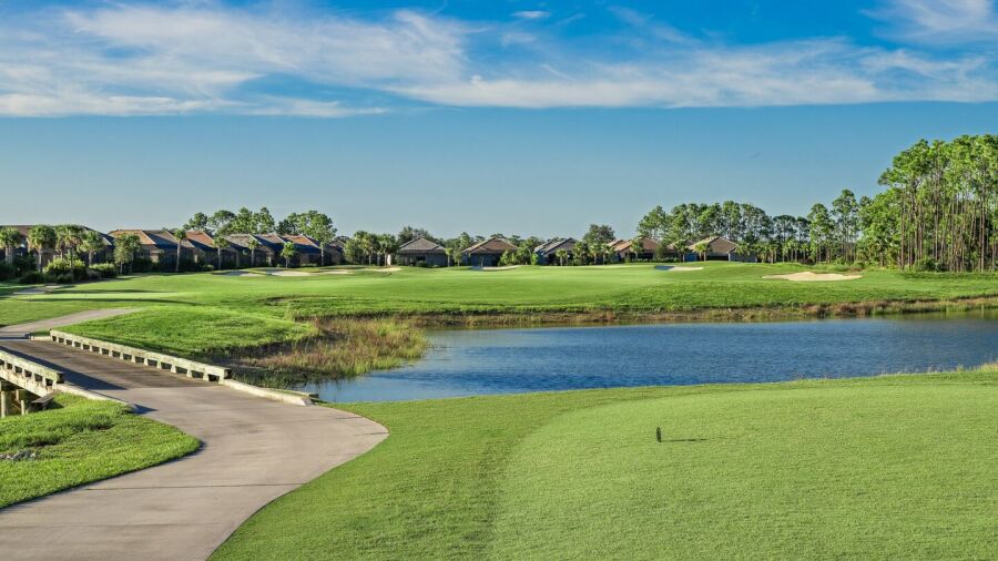 Babcock National: #11