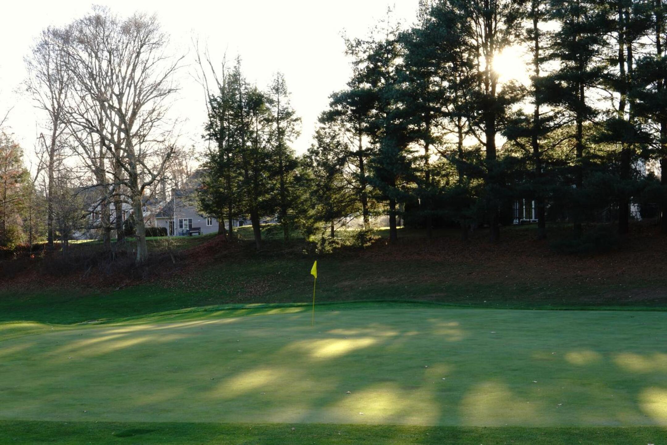 Cast in the deep shadows of trees is green seven. (Photo submitted by AptlyLinked on 11/25/2023)