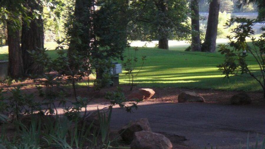 Forest Meadows GC