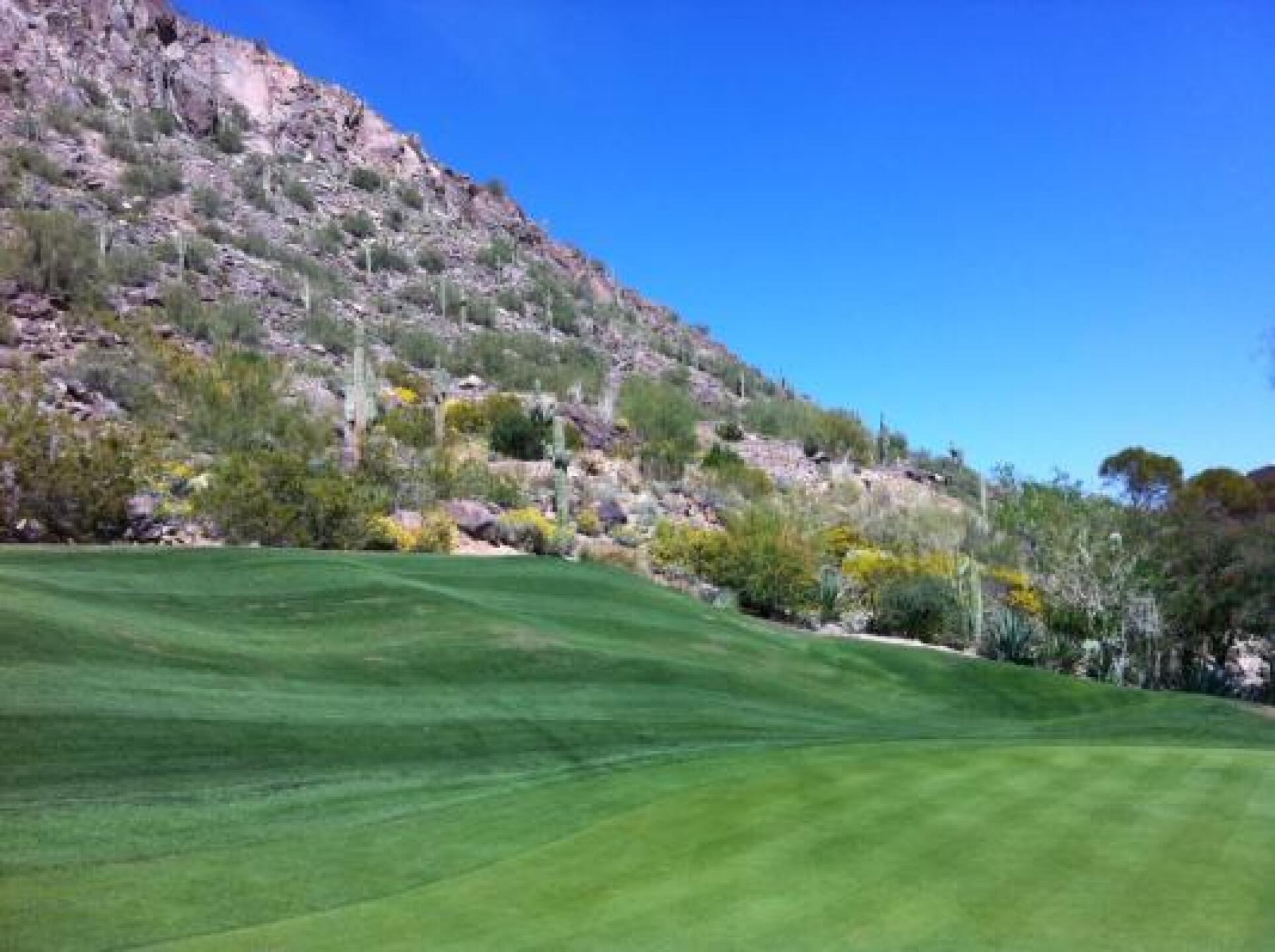 (Photo submitted by hockeyind21 on 03/25/2013)