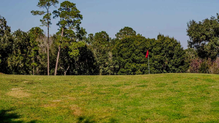 The Plantation GC