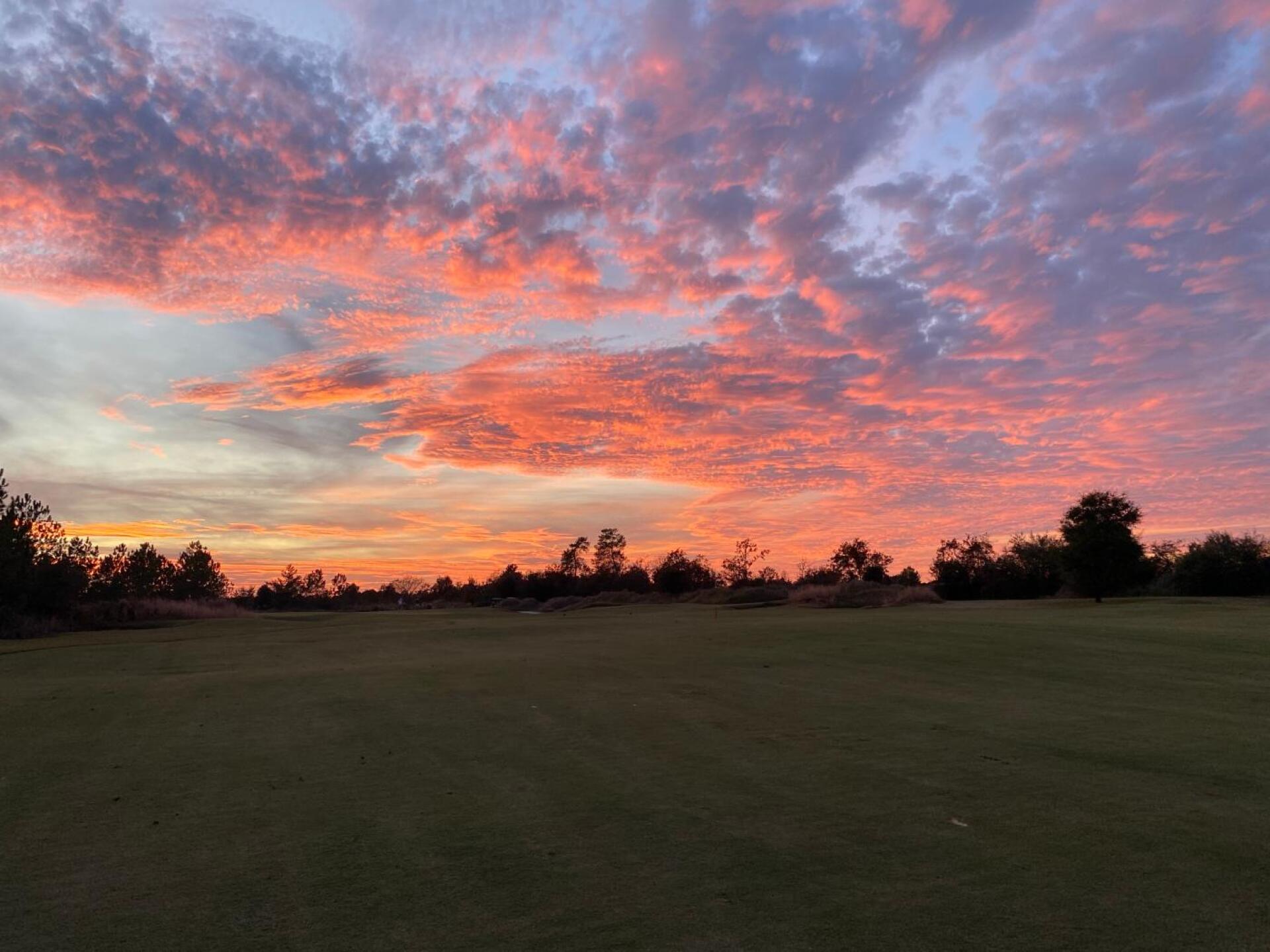 (Photo submitted by Josh2906128 on 12/03/2019)