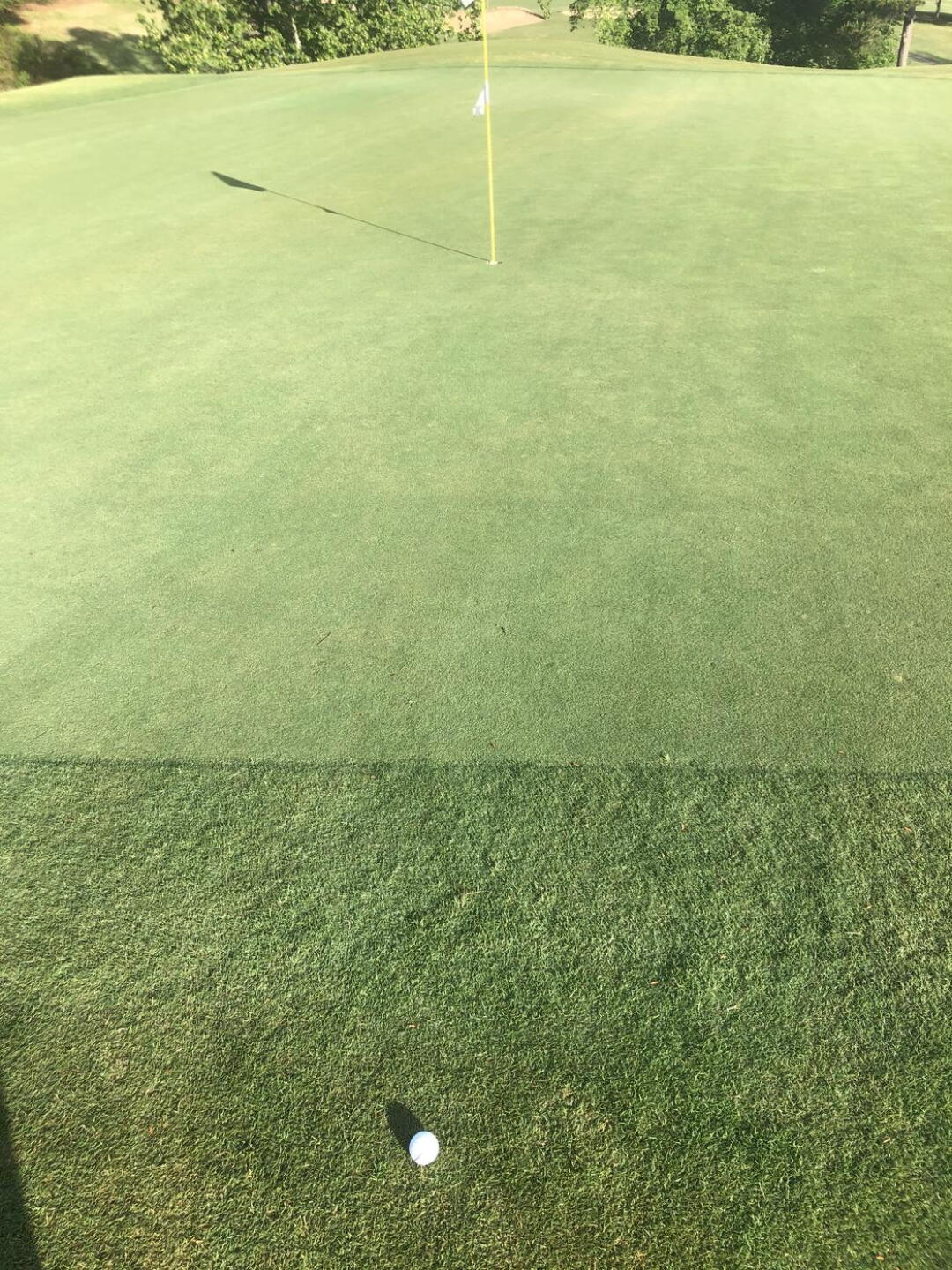 Hole 10 where I made birdie from just off the green today (Photo submitted by u787614032 on 05/09/2021)